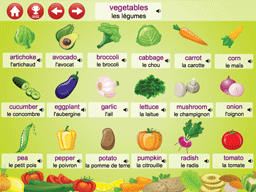 visual_english01_vegetables